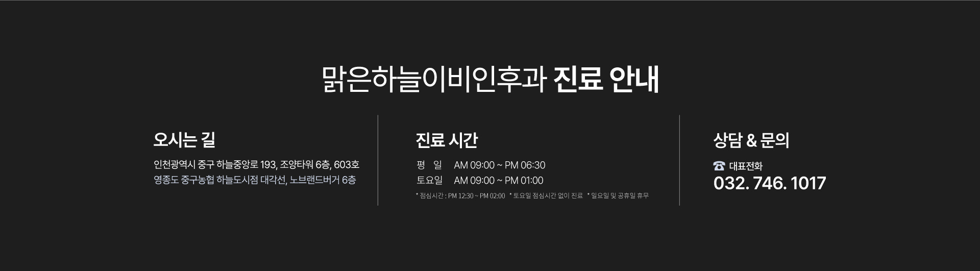 맑은하늘이비인후과 진료안내